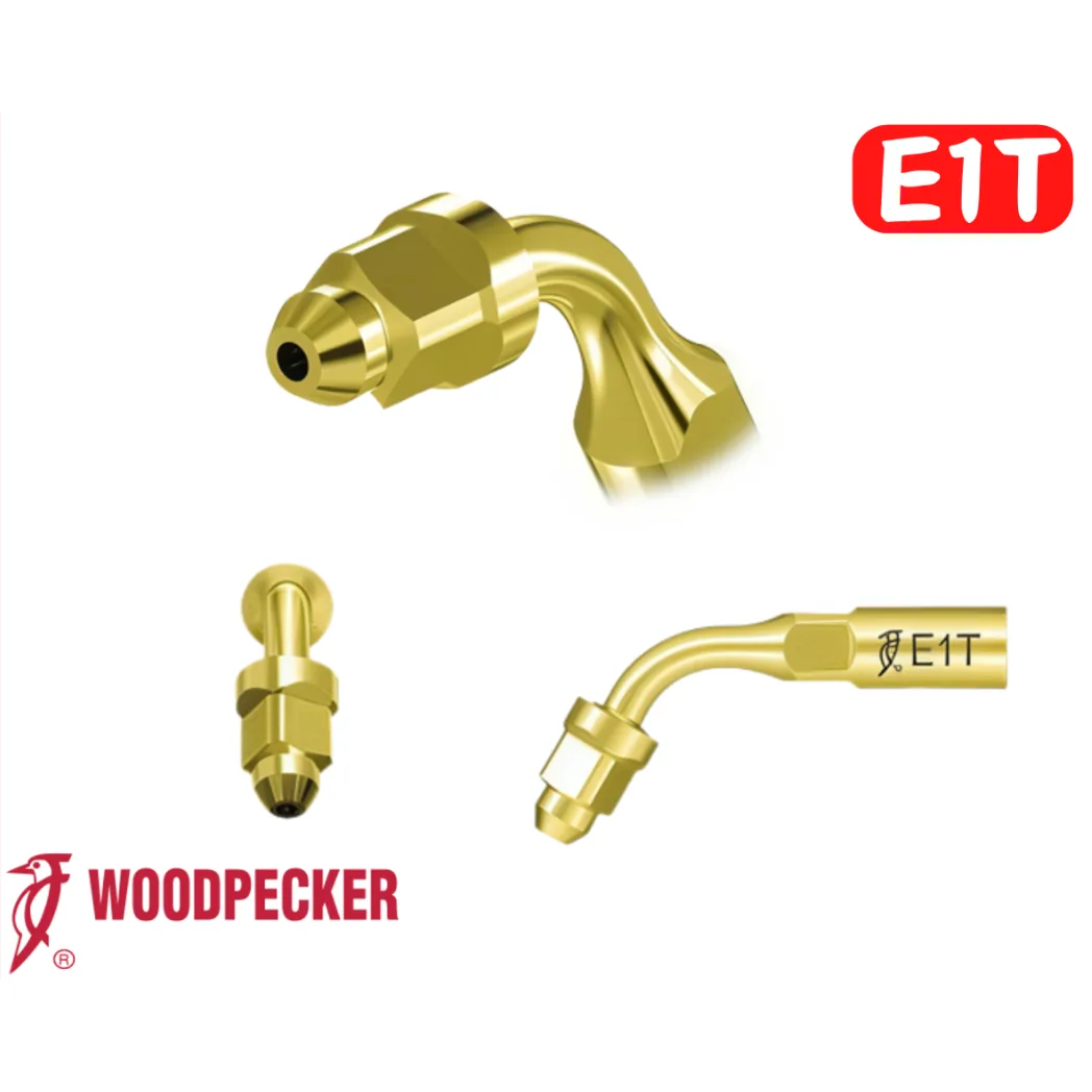 Насадка E1T Gold, ендодонтичний тримач файлів 120° (Woodpecker)